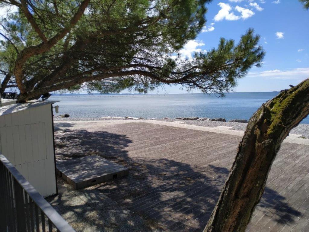 Casa Lenka Ξενοδοχείο Malchina Εξωτερικό φωτογραφία